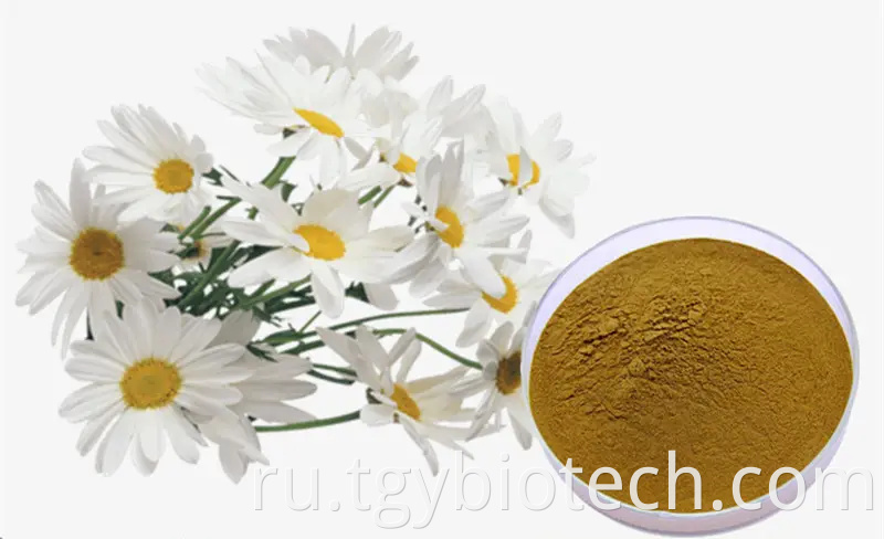 Chamomile Extract